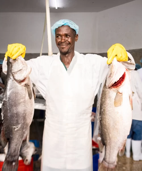 mrfishprocessinghub01179